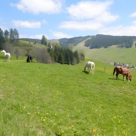 Ferienwohnung Bergahorn Todtnauberg Exteriör bild